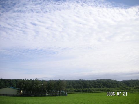 s_20060721_pict0039.jpg